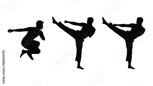 Martial arts kicks and pose silhouettes isolated on white background, Vector