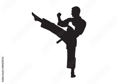 karate logo silhouette vector, karate fighter silhouette vector illustration, karate fight martial silhouette logo, karate fight martial arts logo silhouettes vector on white background