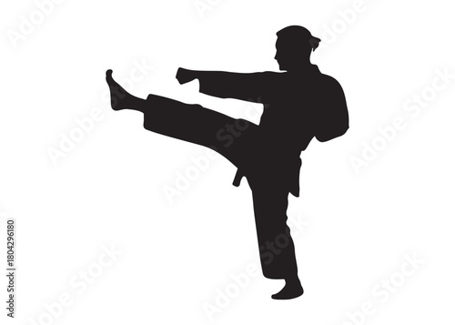 karate logo silhouette vector, karate fighter silhouette vector illustration, karate fight martial silhouette logo, karate fight martial arts logo silhouettes vector on white background