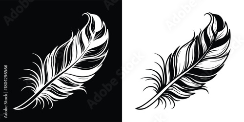 A detailed black and white illustration of a single feather, presented on both a black and a white background for versatility