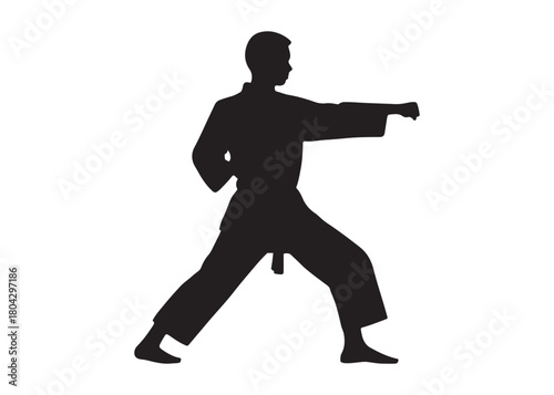 karate logo silhouette vector, karate fighter silhouette vector illustration, karate fight martial silhouette logo, karate fight martial arts logo silhouettes vector on white background