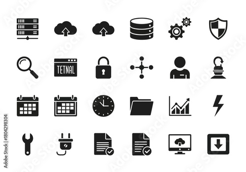 Collection of black solid glyph icons for technology concepts like cloud computing, data management, and web security on a white background