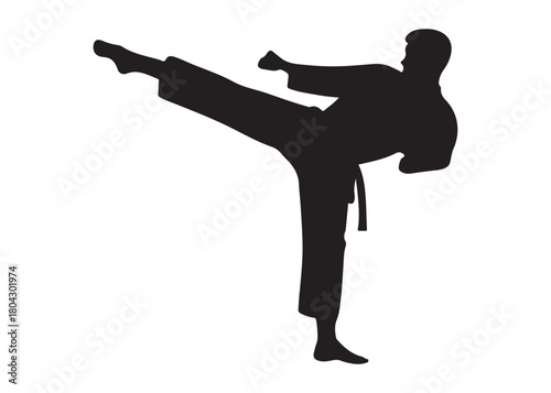 karate logo silhouette vector, karate fighter silhouette vector illustration, karate fight martial silhouette logo, karate fight martial arts logo silhouettes vector on white background