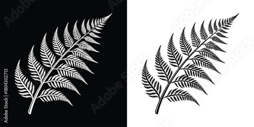 A detailed black and white illustration of a fern frond, presented on both black and white backgrounds for versatility