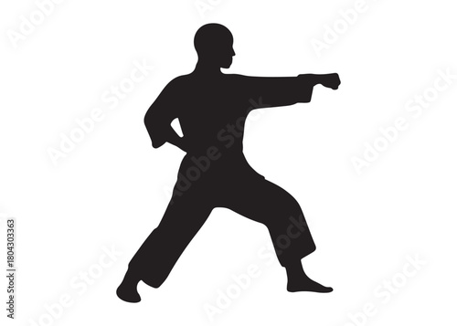 karate logo silhouette vector, karate fighter silhouette vector illustration, karate fight martial silhouette logo, karate fight martial arts logo silhouettes vector on white background