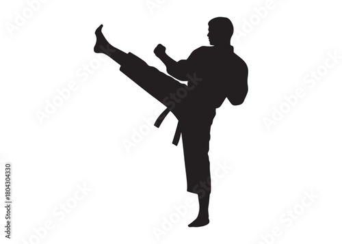 karate logo silhouette vector, karate fighter silhouette vector illustration, karate fight martial silhouette logo, karate fight martial arts logo silhouettes vector on white background
