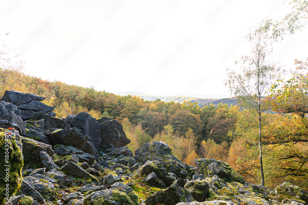 Obraz premium ardennen