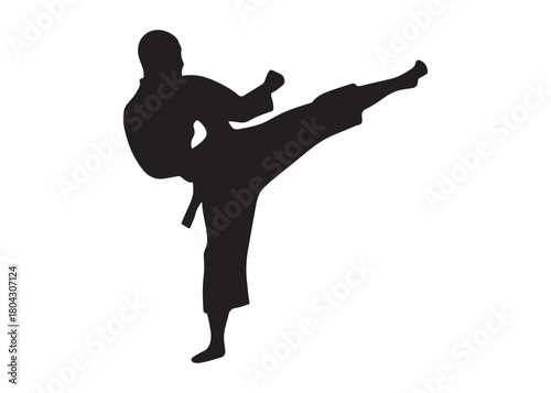 karate logo silhouette vector, karate fighter silhouette vector illustration, karate fight martial silhouette logo, karate fight martial arts logo silhouettes vector on white background