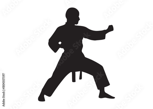 karate logo silhouette vector, karate fighter silhouette vector illustration, karate fight martial silhouette logo, karate fight martial arts logo silhouettes vector on white background