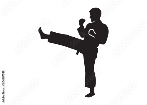 karate logo silhouette vector, karate fighter silhouette vector illustration, karate fight martial silhouette logo, karate fight martial arts logo silhouettes vector on white background