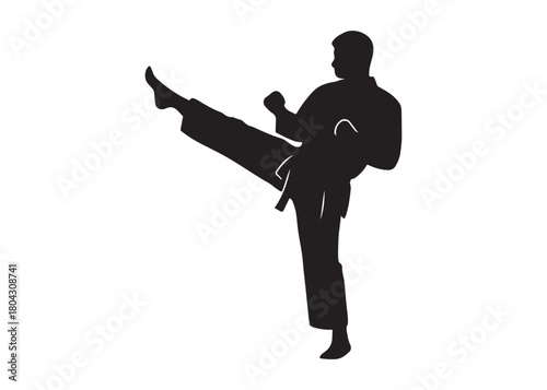 karate logo silhouette vector, karate fighter silhouette vector illustration, karate fight martial silhouette logo, karate fight martial arts logo silhouettes vector on white background