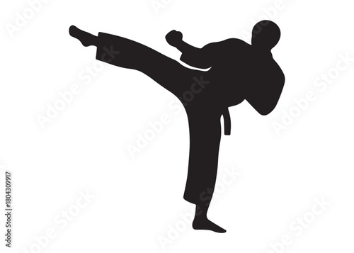 karate logo silhouette vector, karate fighter silhouette vector illustration, karate fight martial silhouette logo, karate fight martial arts logo silhouettes vector on white background