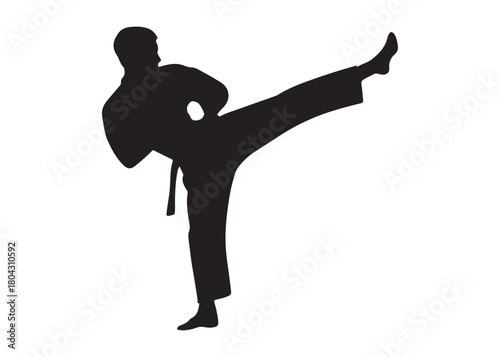 karate logo silhouette vector, karate fighter silhouette vector illustration, karate fight martial silhouette logo, karate fight martial arts logo silhouettes vector on white background