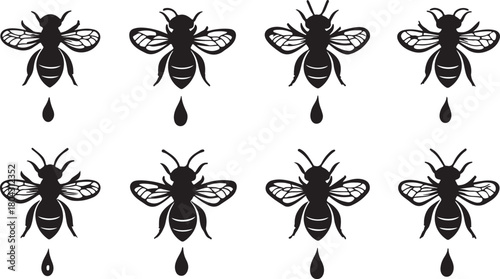 Vector collection of black insect and bug silhouettes featuring ant, spider, fly, beetle, bee, mosquito, butterfly, and dragonfly designs