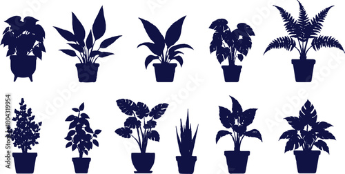described features a visually appealing arrangement of eleven potted plants presented in silhouette against a clean white background. The composition is organized into two rows
