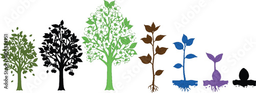  described illustrates the various growth stages of a plant, arranged in a sequence from right to left.