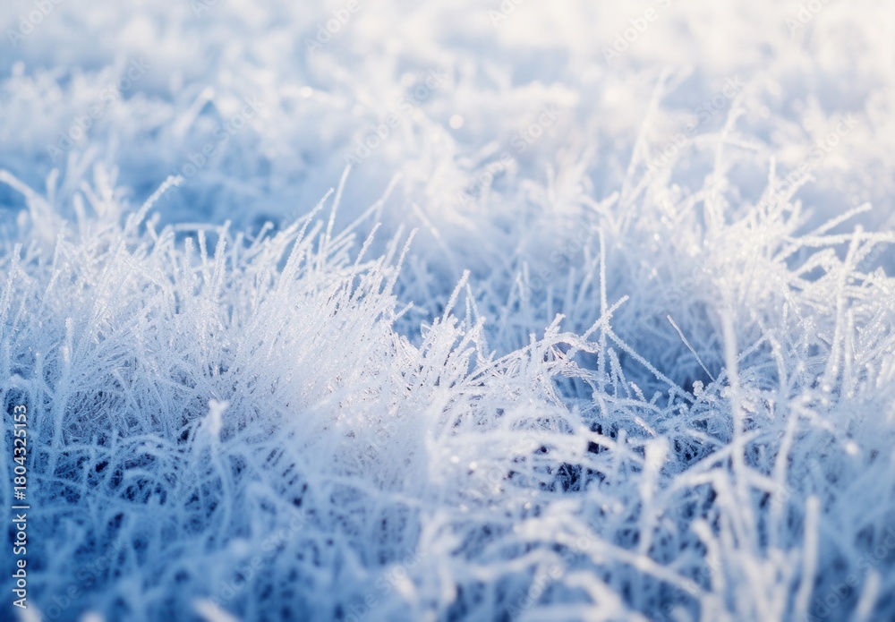 Fototapeta premium WINTER