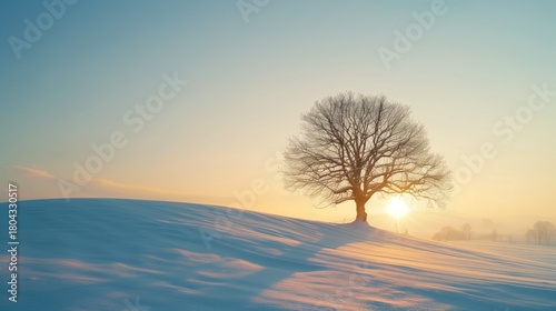 Winter Solstice: Serene winter solstice landscape at golden hour, single bare oak tree on snow-covered hill, low sun casting long shadows, pale blue and gold sky