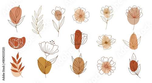 Vector collection of bohemian minimalist flower and leaf line art elements in earth tones.