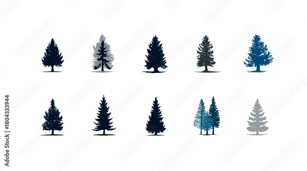 Obraz premium Set of Stylized Evergreen Pine Trees and Firs Isolated on White Background. Coniferous Forest Nature Illustrations.