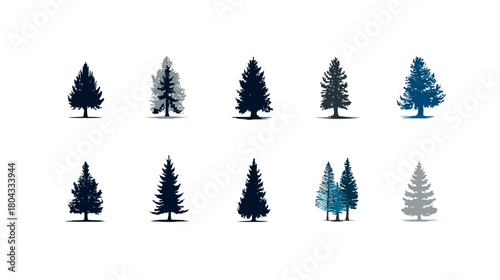 Set of Stylized Evergreen Pine Trees and Firs Isolated on White Background. Coniferous Forest Nature Illustrations.