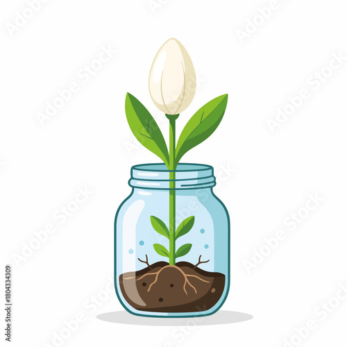 A sprouting plant with a white flower bud growing in a glass jar. Flat design graphic representing growth, new life, and nature.