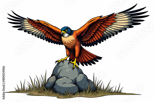 Falcon landing on a boulder with outstretched wings in a natural setting