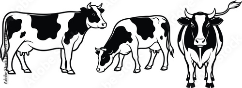 Black and white illustration of three cows in various poses