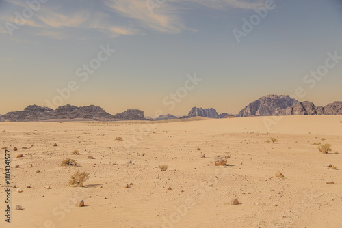 Fototapeta Naklejka Na Ścianę i Meble -  sand dunes in the desert