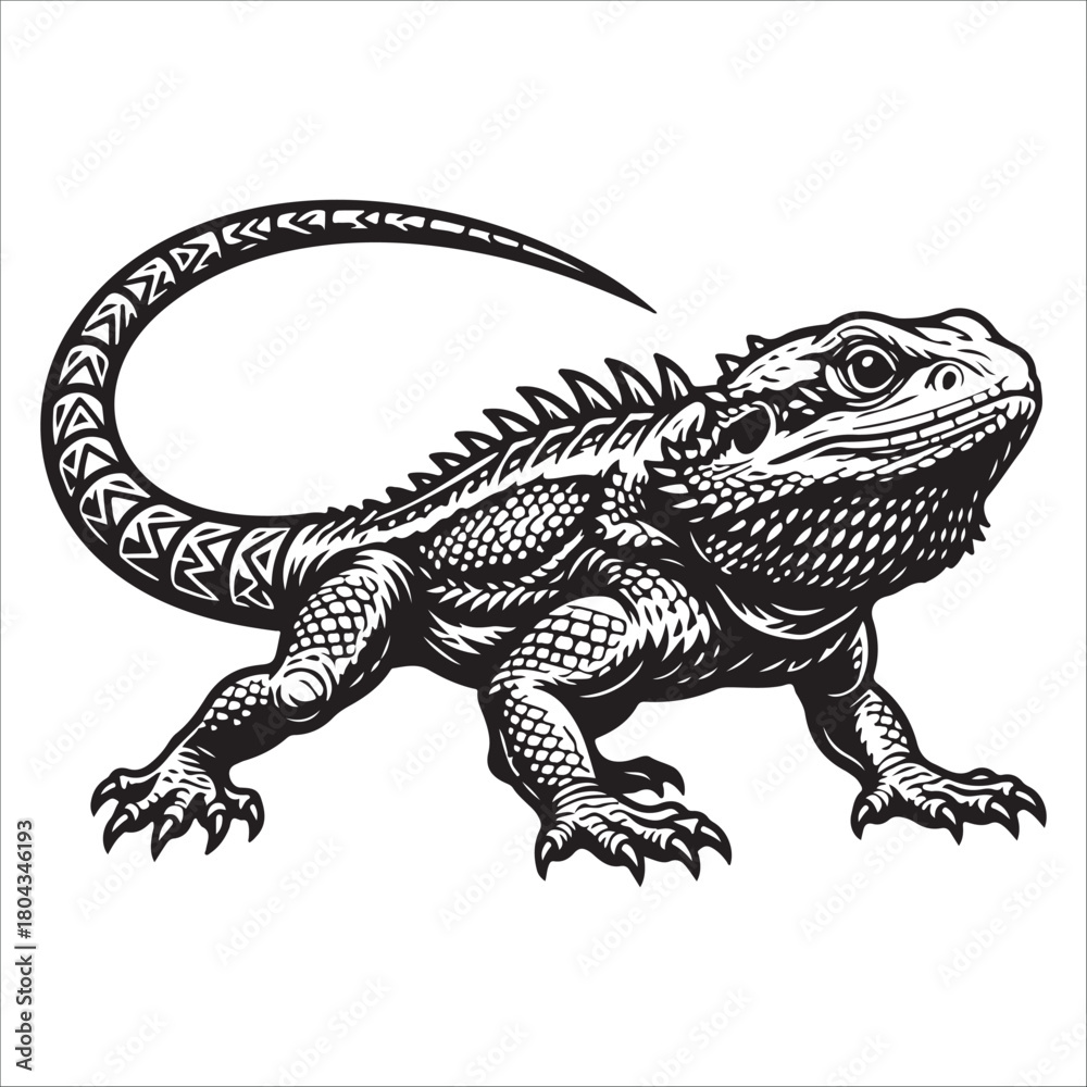 Obraz premium bearded dragon lizard silhouette vector on white background