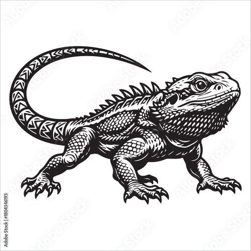 bearded dragon lizard silhouette vector on white background