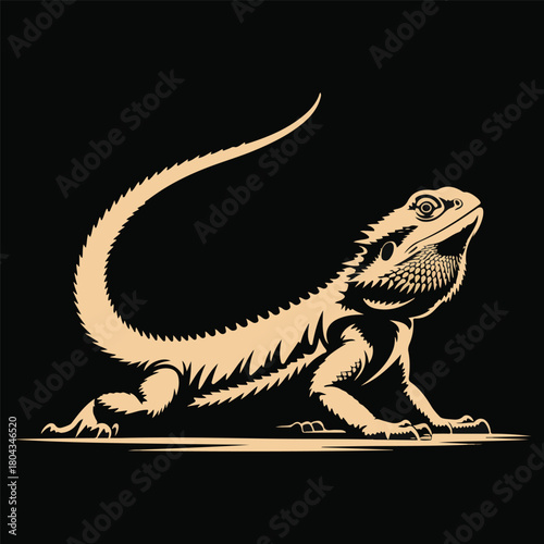 Bearded dragon lizard reptile  vector isolated on white background