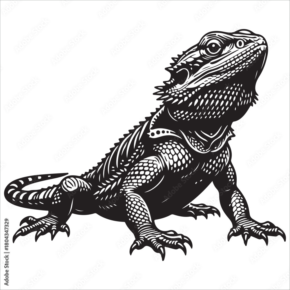 Obraz premium bearded dragon lizard silhouette vector on white background