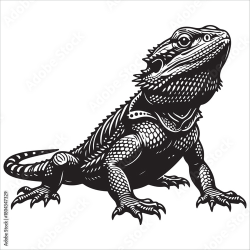  bearded dragon lizard silhouette vector on white background