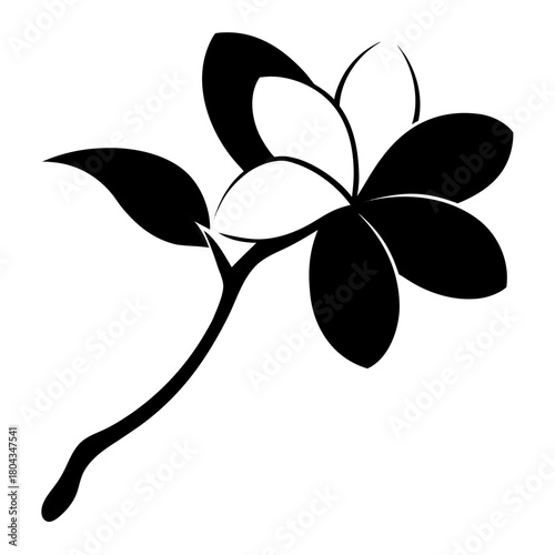 frangipani plumeria hawaiian foam silouette on white background