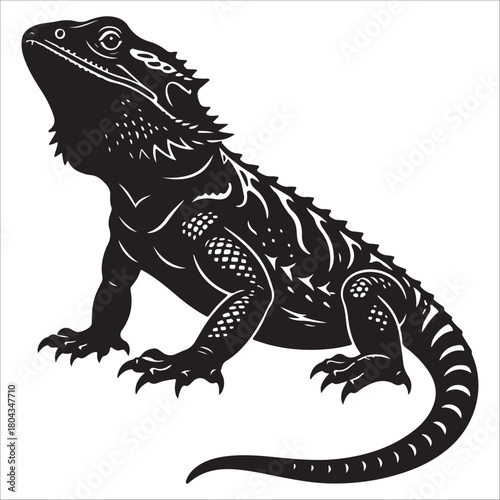  bearded dragon lizard silhouette vector on white background