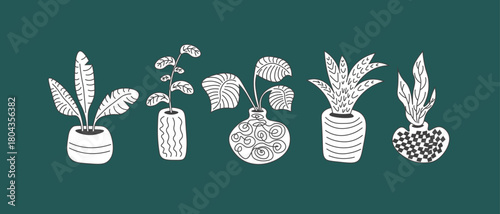 Home flowers in pots set of elements