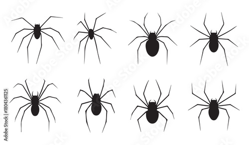  Collection of eight black spider illustrations with detailed legs on a white background