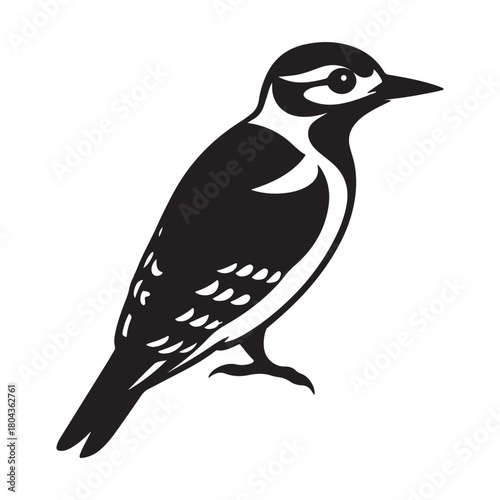 Downy woodpecker silhouette black vector icon