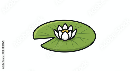 A beautiful white water lily flower blooming on a green lily pad floating on water.