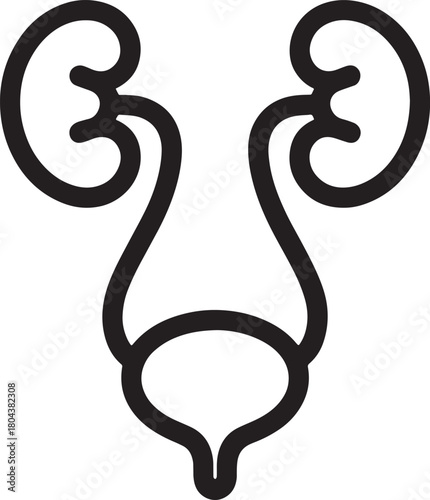 Simplified Human Urinary System Diagram in Black and White Vector