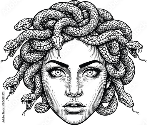 Medusa gorgon head illustration drawing snakes hair greek mythology art eps silhouette