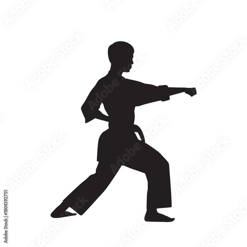 Karate Man Silhouette in Punching Stance