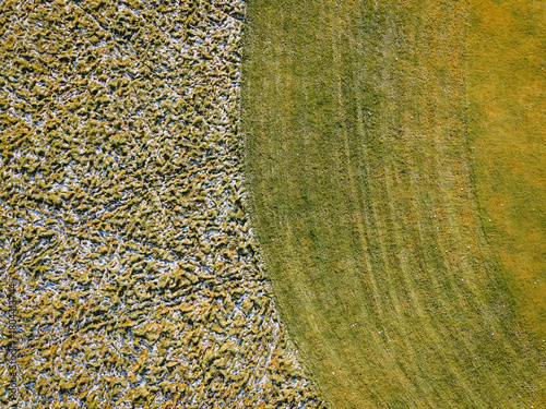 Fotografija Aerial view of contrasting grassy textures, showcasing vibrant green grass meeti