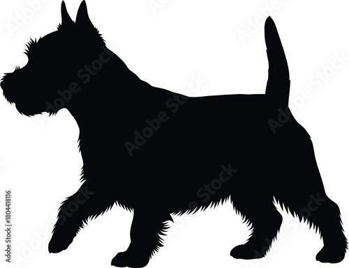 Isolated vector illustration of a black and white concert harp image eps silhouette