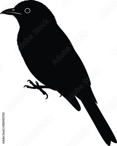 Bird silhouette perched calmly in simple black vector design