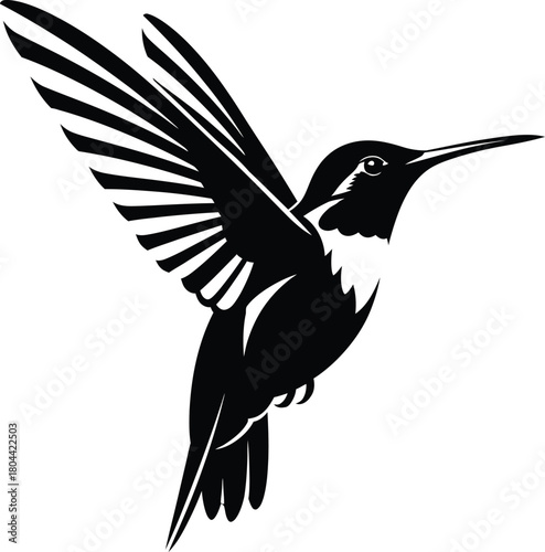 Detailed hummingbird silhouette with extended wings in elegant vector style