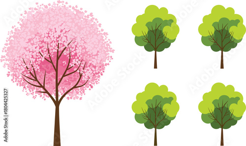 Big pink cherry blossom tree and small green trees illustration set isolated on white background.