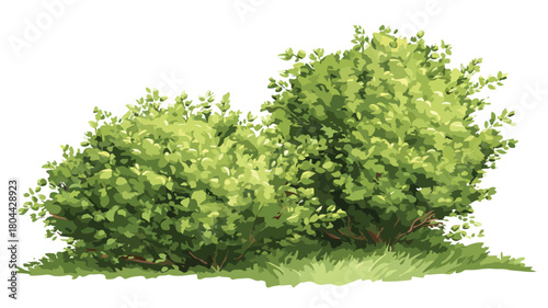 Bushes Located Close Together Vector Illustration