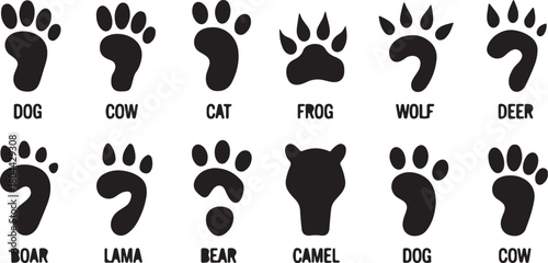 Set of animal footprints, black silhouette vector image